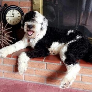 Meet your Posher, Carla